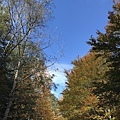 IMG_3714.JPG