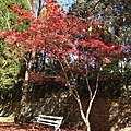 IMG_3711.JPG