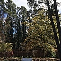 IMG_3718.JPG