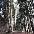 IMG_3735.JPG