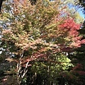 IMG_3757.JPG