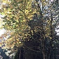 IMG_3759.JPG
