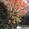 IMG_3771.JPG