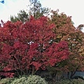 IMG_3818.JPG