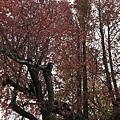 IMG_3803.JPG
