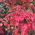 IMG_3819.JPG