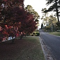 IMG_3825.JPG