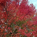 IMG_3867.JPG