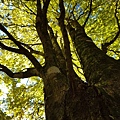 IMG_3931.JPG