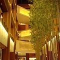 DSC01606.JPG