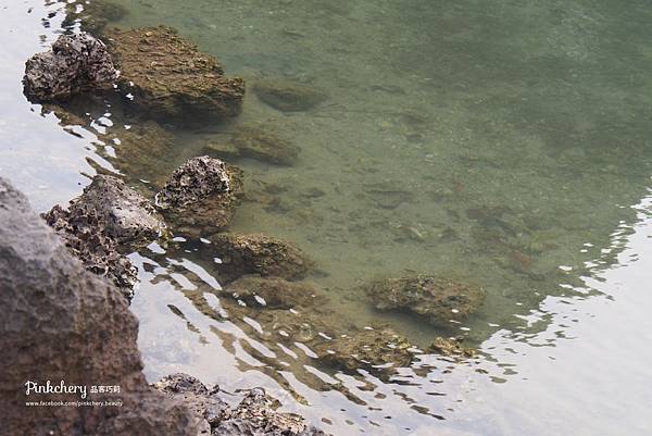 【旅遊/越南】跟著電影《金剛：骷髏島》遊越南，下龍灣、陸龍灣