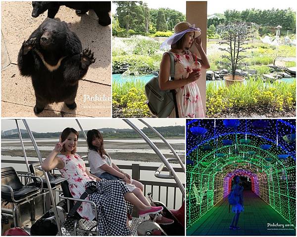 colorCOVER.jpg colorCOVER.jpg