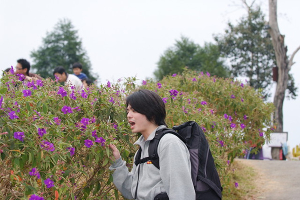 紫色花花和廖寶貝