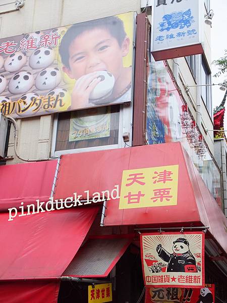 2015日本遊D27中華街 元町商店街 山下公園 紅磚倉庫