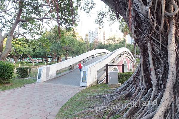 2015台中樂活泰迪熊嘉年華(台中公園)