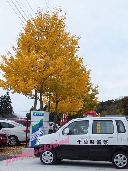 2015十一月秋末賞楓 D6-1市原養老溪谷駅賞楓(紅葉狩り)