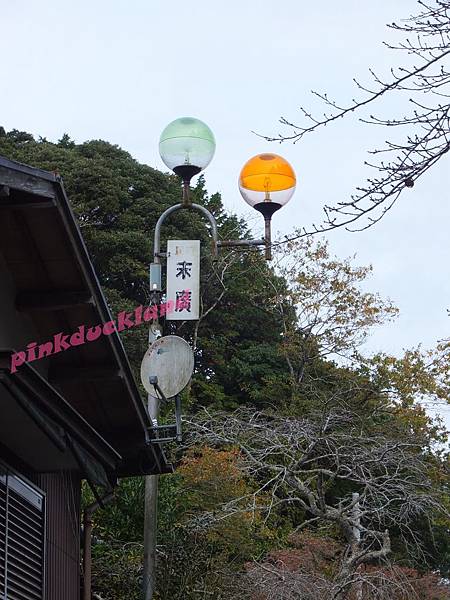 2015十一月秋末賞楓 D6-1市原養老溪谷駅賞楓(紅葉狩り)