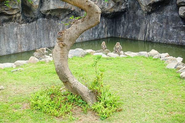 親子旅遊