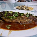 P1000756.JPG