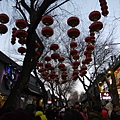 P1000778.JPG