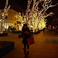 P1000796.JPG