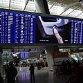 P1000836.JPG