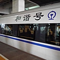 P1000839.JPG
