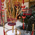 P1000851.JPG