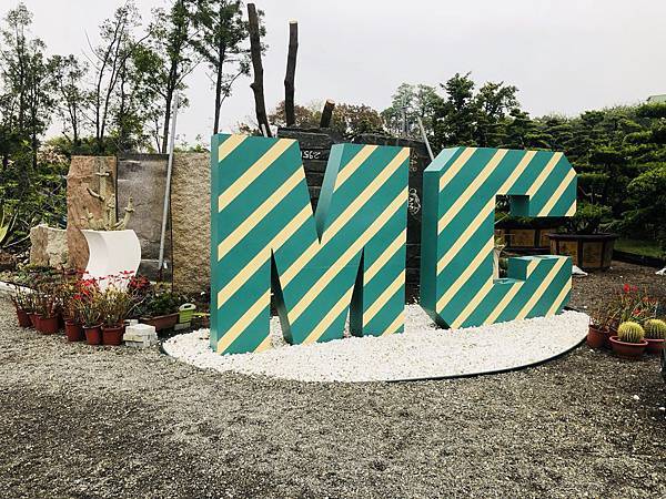 [玩樂] 楠梓 MC多肉園 根本多肉超級市場！XD