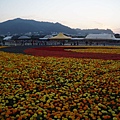 DSC05939.jpg