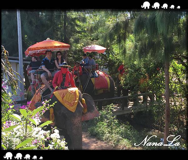  Chang Puak Camp 叢林騎大象 曼谷