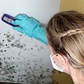 woman-cleaning-mold-300x200.jpg