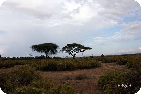 Samburu-6.jpg