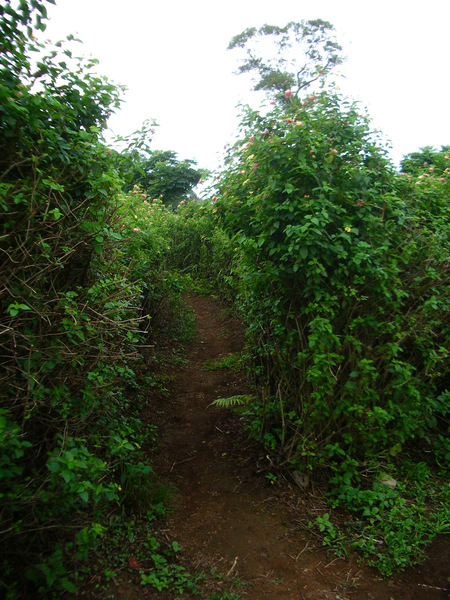 IMGP0489