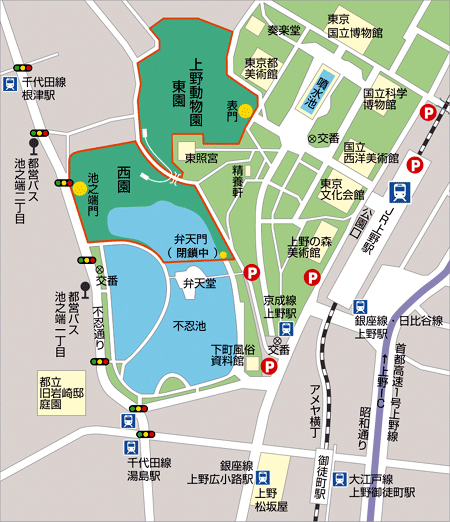 日本 東京 上野 上野動物園 Ueno Zoological Gardens Pinkpeony 蘋果粉彩筆 痞客邦 日本 東京 上野 上野動物園 Ueno Zoological Gardens Pinkpeony 蘋果粉彩筆 痞客邦