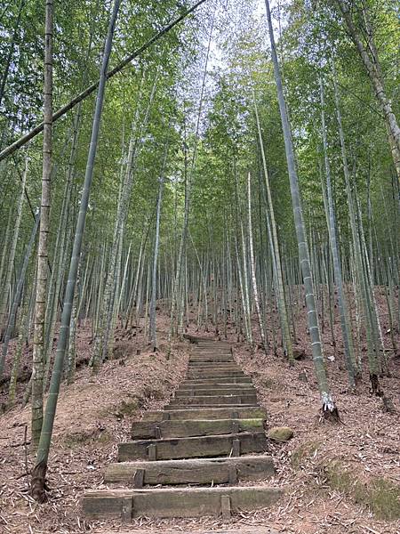 雲林～石壁山 & 好望角 & 嘉南雲峰