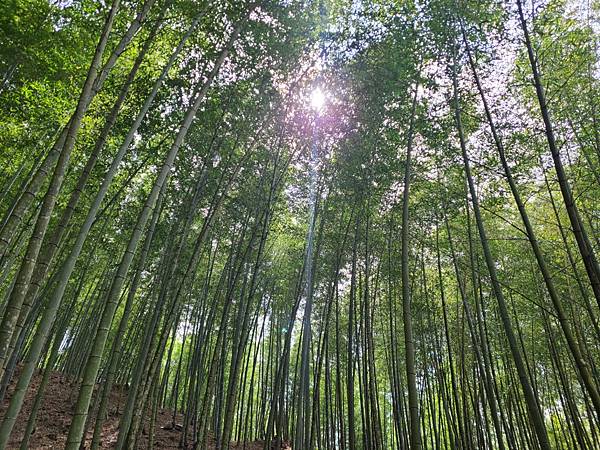 雲林～石壁山 & 好望角 & 嘉南雲峰