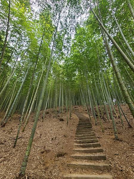 雲林～石壁山 & 好望角 & 嘉南雲峰