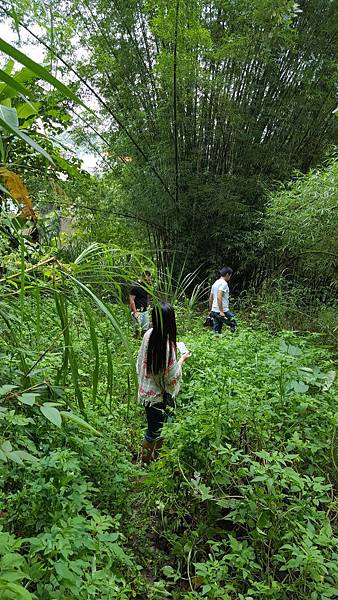 2016_8_21 頭汴坑蝙蝠洞（阿緣）_23.jpg