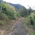 是產業道路