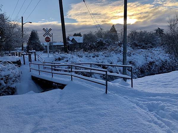 2021年的冬天  -  雪