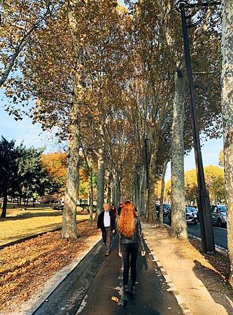 法国庞毕度_181030_0013