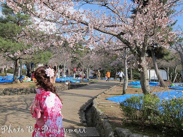 清水寺-3