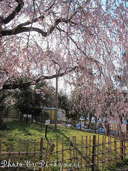 清水寺-9