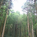 吃完便當去找傳說中的神社，結果走了半天，啥都沒有