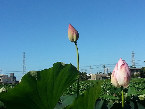 20140721_161132.jpg - 兒彤樂園