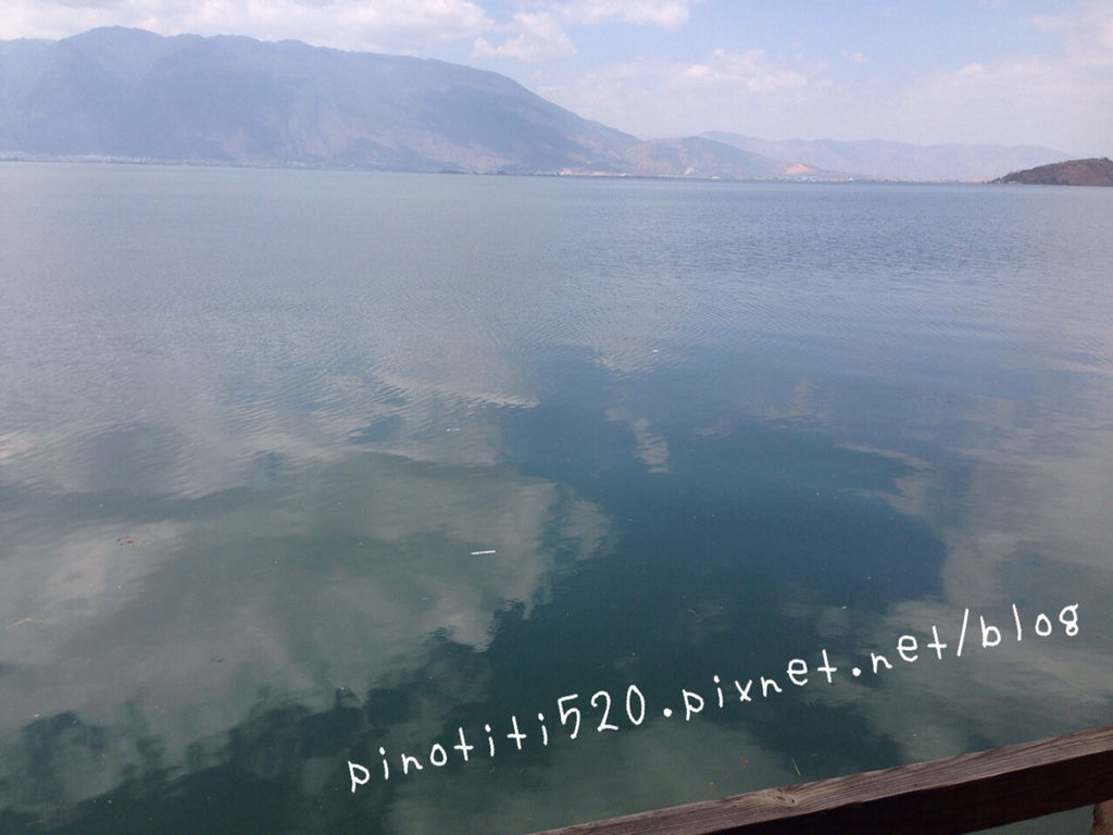 IMG_7216 IMG_7216