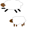 兩隻棉羊.png