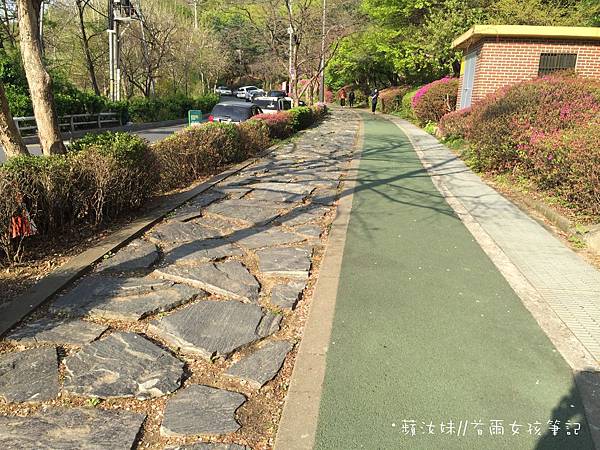 IMG_3015.JPG IMG_3015.JPG