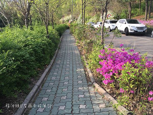 IMG_3018.JPG IMG_3018.JPG